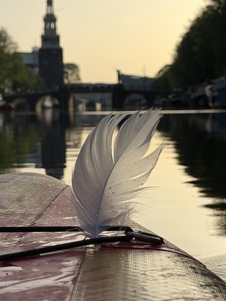 A delicate white feather rests on the edge of a boat, gently illuminated by the golden light of dusk over the Sint Antoniesluis, Uilenburg, Amsterdam